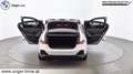 BMW i5 i5 M60 xDrive Weiß - thumbnail 18