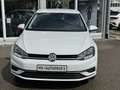 Volkswagen Golf 1.0TSI Front Assist 6Gang Alu Tempomat PDC Weiß - thumbnail 4