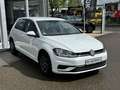 Volkswagen Golf 1.0TSI Front Assist 6Gang Alu Tempomat PDC White - thumbnail 5