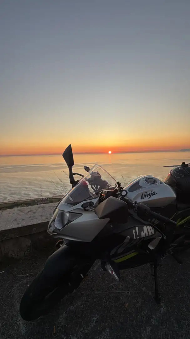Kawasaki Ninja 125 - 1