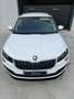 Skoda Karoq 2.0TDI AdBlue Ambition 4x4 DSG 110kW Blanco - thumbnail 10