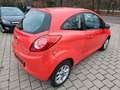 Ford Ka/Ka+ Champions Edition Rot - thumbnail 5