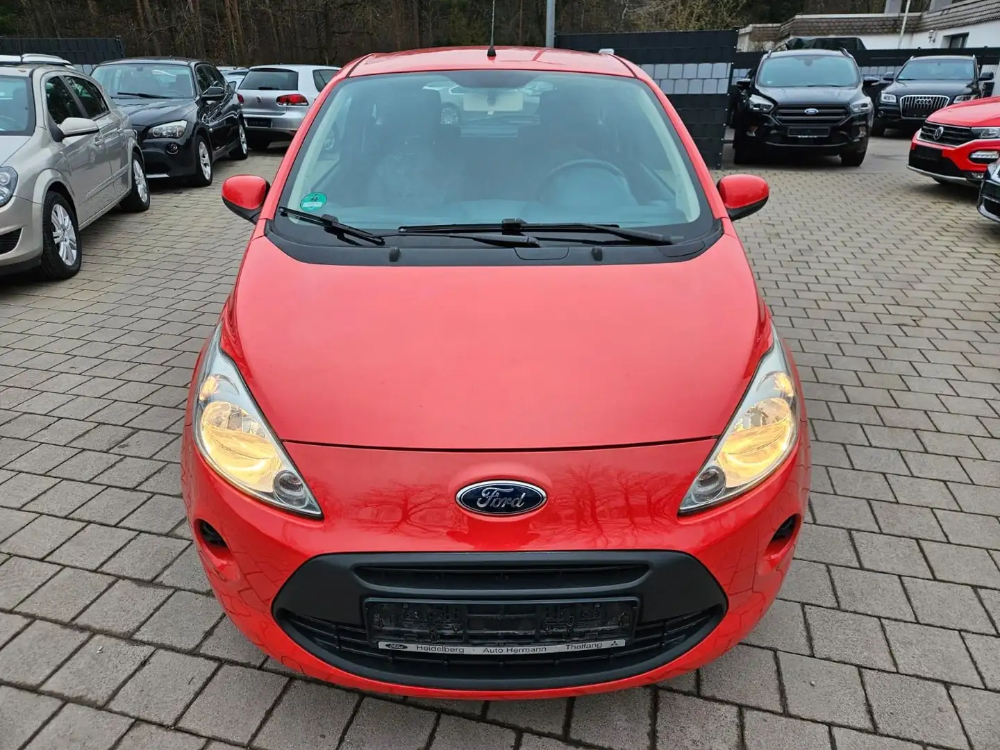 Ford Ka/Ka+ Champions Edition Rot - 2