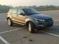Land Rover Range Rover Evoque British Edition Dynamic 2.2 TD4 Grigio - thumbnail 3