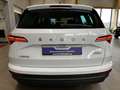 Skoda Karoq 1.5 TSI DSG Selection App Kamera ACC Wit - thumbnail 21