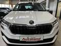 Skoda Karoq 1.5 TSI DSG Selection App Kamera ACC Wit - thumbnail 20