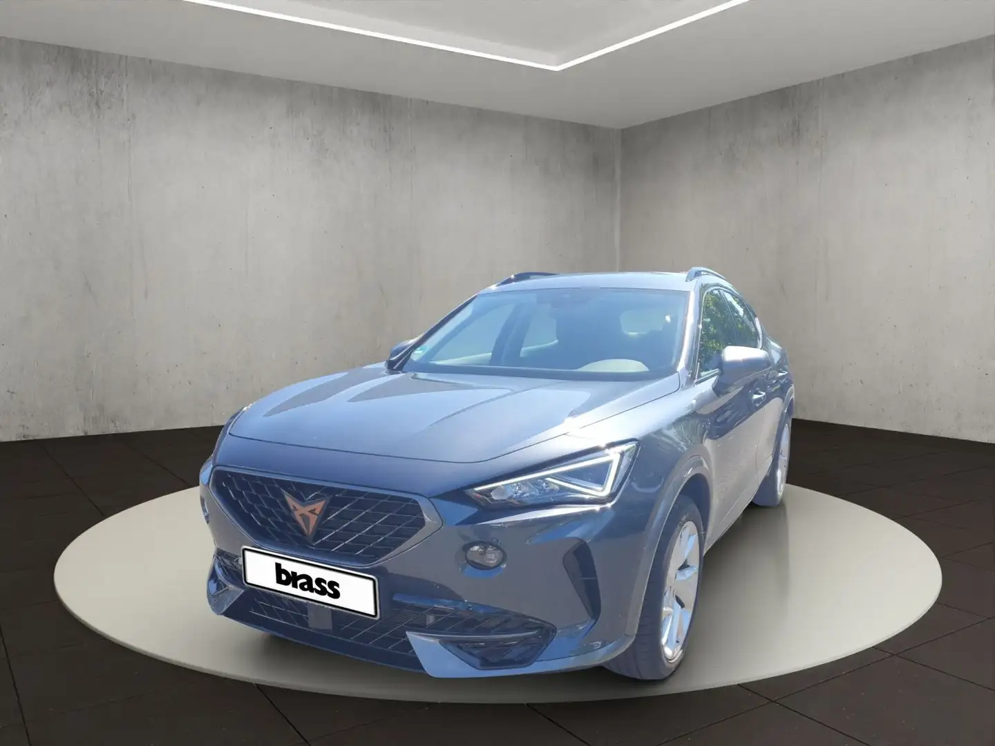 CUPRA Formentor 2.0 TDI 4Drive (EURO 6d) Grigio - 1