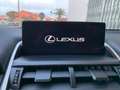 Lexus NX 300 300h Executive Navigation 4WD Gris - thumbnail 25