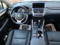 Lexus NX 300 300h Executive Navigation 4WD Šedá - thumbnail 10