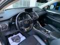 Lexus NX 300 300h Executive Navigation 4WD Szary - thumbnail 8