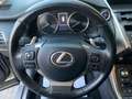 Lexus NX 300 300h Executive Navigation 4WD Grijs - thumbnail 24