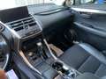 Lexus NX 300 300h Executive Navigation 4WD Gris - thumbnail 22