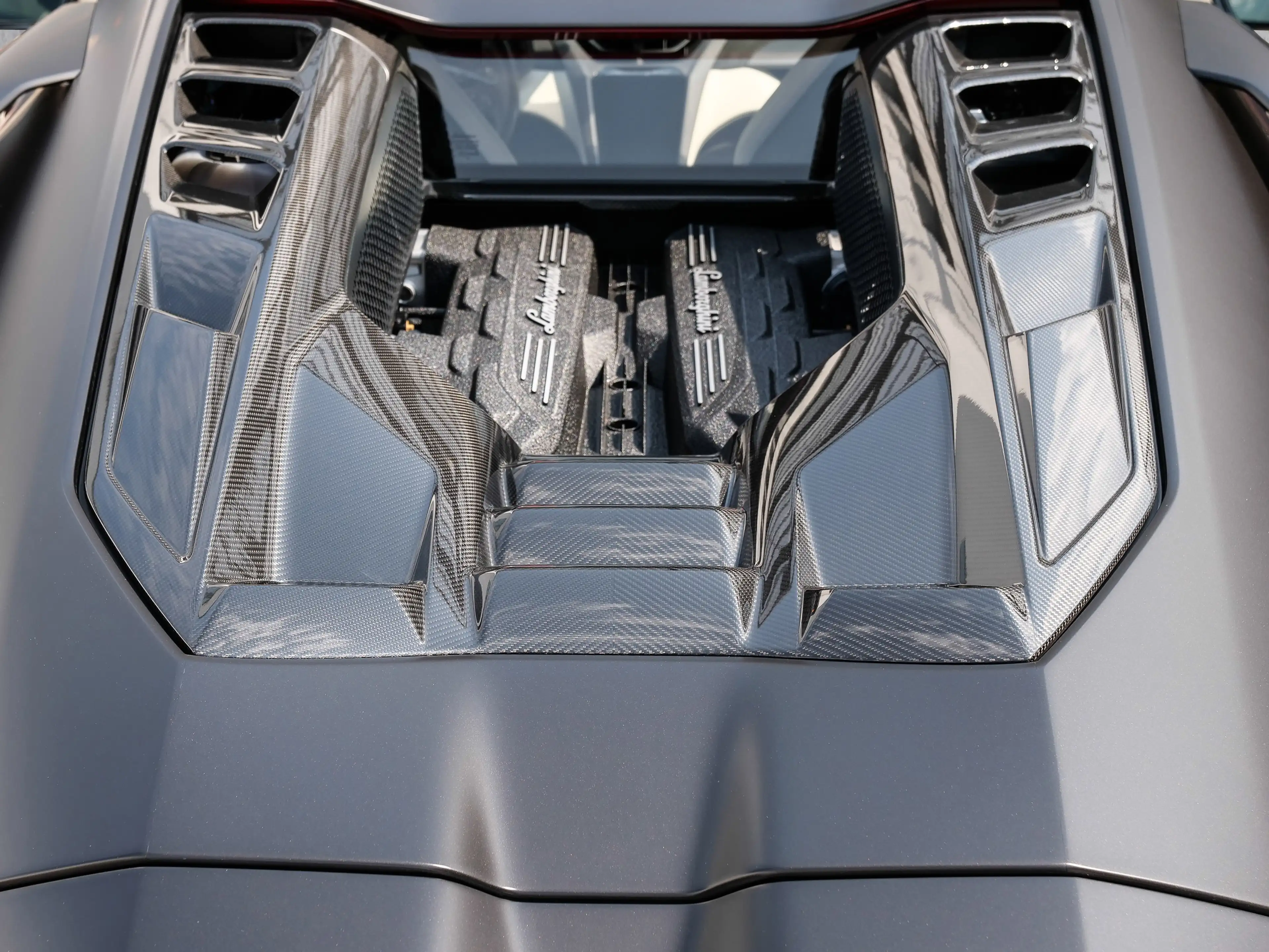 Lamborghini Revuelto Marrone Apus, Lower&Upper Carbon Pack — photo 11