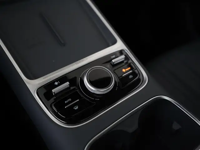 Geely Starray Em-I view 10