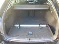 Skoda Octavia Combi 1.5 eTSI DSG Selection LED+ACC+Nav Zwart - thumbnail 16