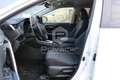 Toyota RAV 4 RAV4 2.5 HV (218CV) E-CVT 2WD Active Wit - thumbnail 11