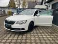 Skoda Superb Elegance 4x4 +LEDER+NAVI+AHK+ XENON+0%FINANZIERUNG Blanco - thumbnail 1