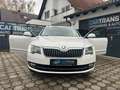Skoda Superb Elegance 4x4 +LEDER+NAVI+AHK+ XENON+0%FINANZIERUNG Blanco - thumbnail 6