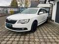 Skoda Superb Elegance 4x4 +LEDER+NAVI+AHK+ XENON+0%FINANZIERUNG Blanco - thumbnail 10