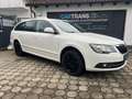 Skoda Superb Elegance 4x4 +LEDER+NAVI+AHK+ XENON+0%FINANZIERUNG Blanco - thumbnail 11