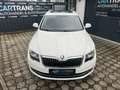 Skoda Superb Elegance 4x4 +LEDER+NAVI+AHK+ XENON+0%FINANZIERUNG Blanco - thumbnail 8