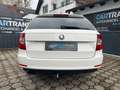 Skoda Superb Elegance 4x4 +LEDER+NAVI+AHK+ XENON+0%FINANZIERUNG Blanco - thumbnail 5