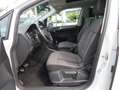 Volkswagen Golf Sportsvan Allstar Panoramadach,Alu,Sitzheizung usw. Bianco - thumbnail 3
