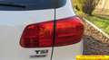 Volkswagen Tiguan 1.4 tsi bm Cross 125cv Blanc - thumbnail 31