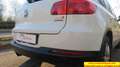 Volkswagen Tiguan 1.4 tsi bm Cross 125cv Blanc - thumbnail 37