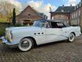Buick Special 1954 Buick Special Cabriolet Note -1 Weiß - thumbnail 5