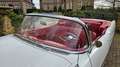 Buick Special 1954 Buick Special Cabriolet Note -1 Weiß - thumbnail 8