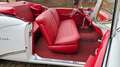 Buick Special 1954 Buick Special Cabriolet Note -1 Weiß - thumbnail 42