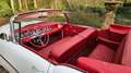 Buick Special 1954 Buick Special Cabriolet Note -1 Weiß - thumbnail 38