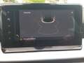 SEAT Arona 1.0 TSI 6-Gang FR NAVI/WINTER-PAKET/FULL LINK/DAB Gris - thumbnail 11