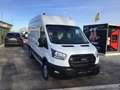 Ford Transit l4h3 165pk automaat 2025 10km 29950e ex Weiß - thumbnail 19