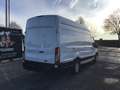Ford Transit l4h3 165pk automaat 2025 10km 29950e ex Weiß - thumbnail 11
