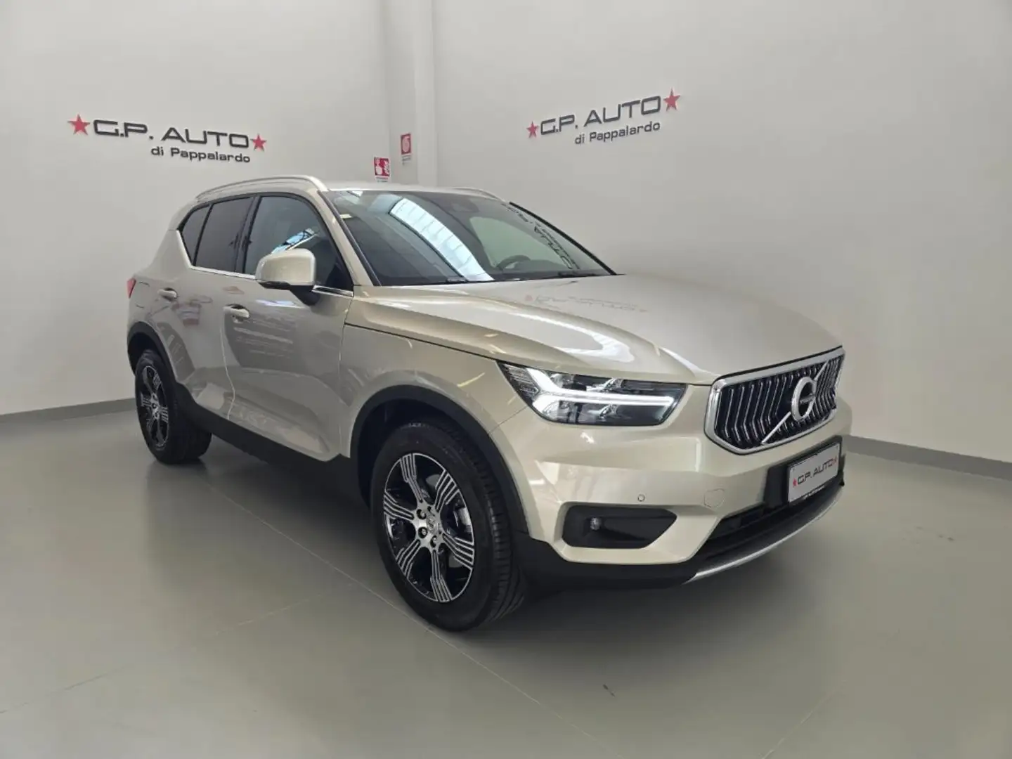 Volvo XC40 D3 AWD Geartronic Inscription Grigio - 1