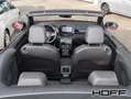 Volkswagen T-Roc Cabrio 1.5 TSI DSG R-Line Leder Black Style AHK Rot - thumbnail 12
