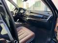 BMW X5 xDrive25d|Leder Dakota|Edelholz|Kamera| Negro - thumbnail 36