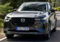 Mazda CX-60 3.3L e-Skyactiv-D MHEV Exclusive-Line PAN-P 4WD 18 - thumbnail 6