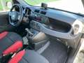 Fiat Panda 0.9 t.air t. 85cv 4x4 Pop Bianco - thumbnail 14