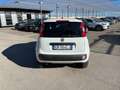 Fiat Panda 0.9 t.air t. 85cv 4x4 Pop Bianco - thumbnail 5