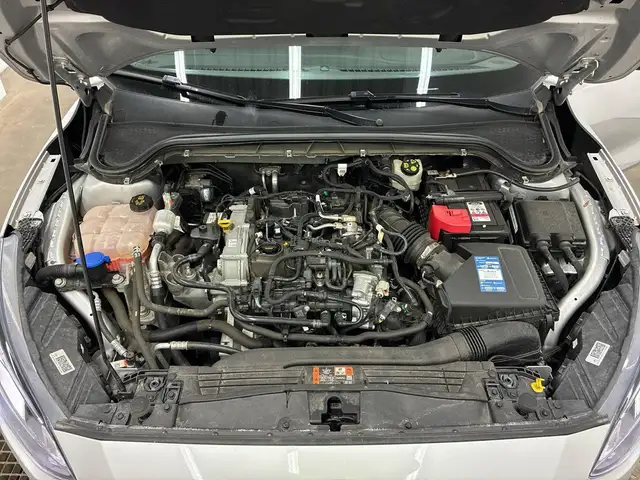 Ford Focus view 13