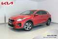 Kia XCeed Xceed 1,0 TGDI GPF Silber Rot - thumbnail 1