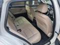 BMW 520 Serie 5 520d Touring xdrive Luxury 184cv auto E6 Bianco - thumbnail 5