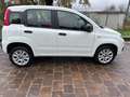 Fiat Panda Panda anno 2020 natural power 70cv Bianco - thumbnail 1