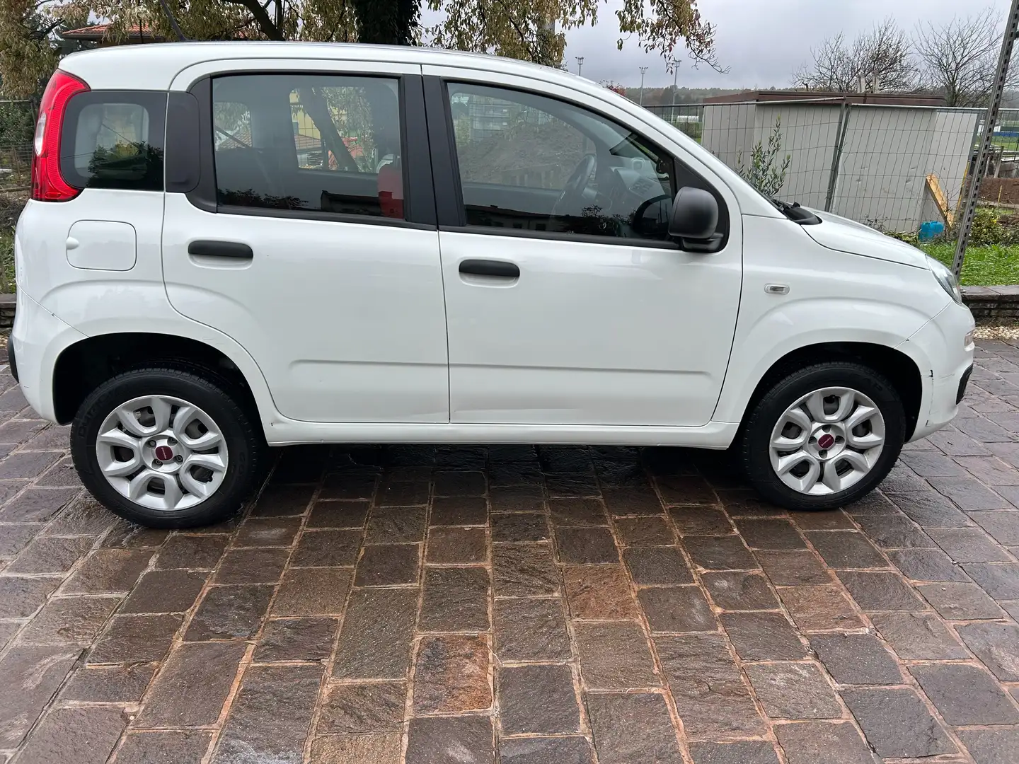 Fiat Panda Panda anno 2020 natural power 70cv Bianco - 1