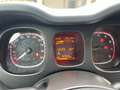 Fiat Panda Panda anno 2020 natural power 70cv Bianco - thumbnail 14