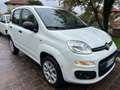 Fiat Panda Panda anno 2020 natural power 70cv Bianco - thumbnail 7