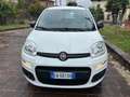 Fiat Panda Panda anno 2020 natural power 70cv Bianco - thumbnail 2
